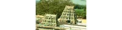 041. திருவயிந்திரபுரம் (அயிந்தை)